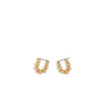 Aretes Argolla D264 Ss25 Dorado