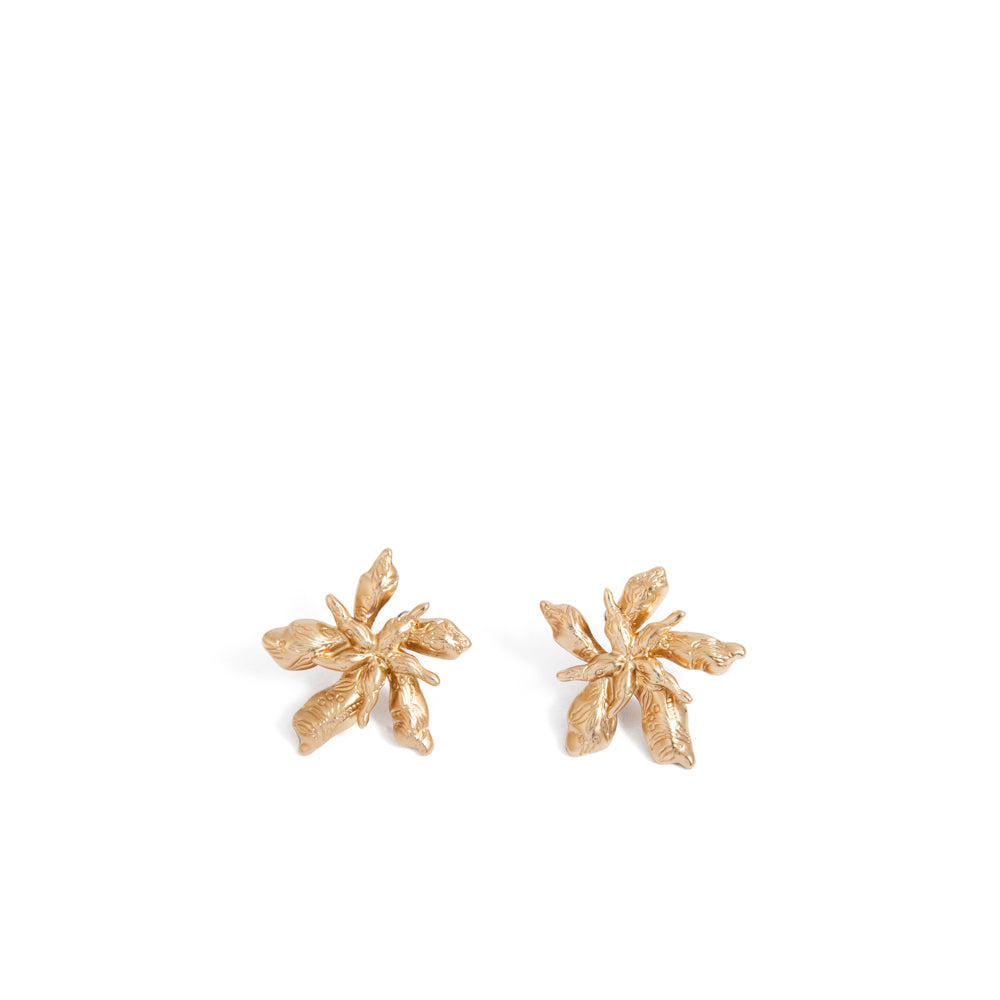 Aretes Jaci Dorado