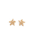 Aretes Jaci Dorado