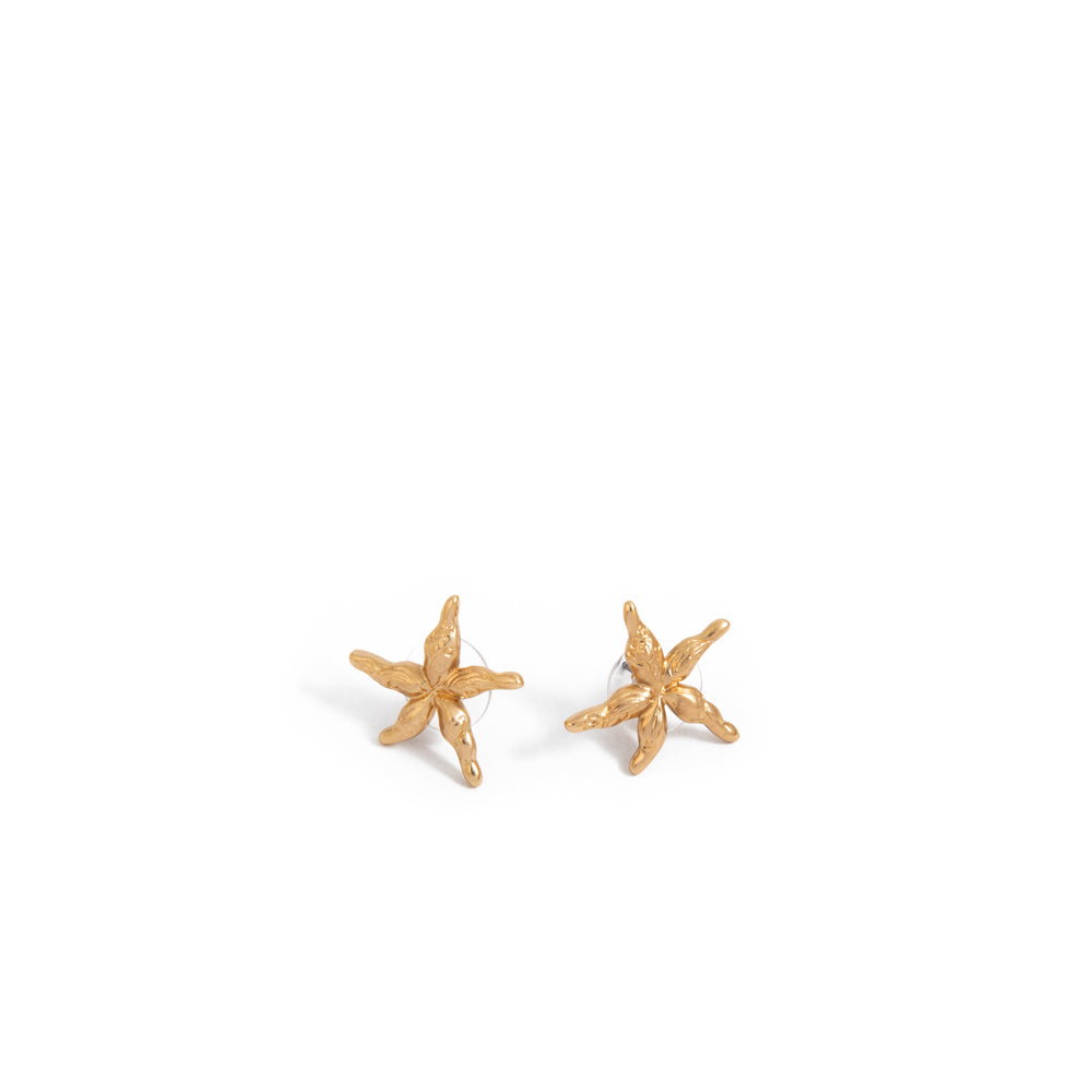 Aretes Domi Dorado