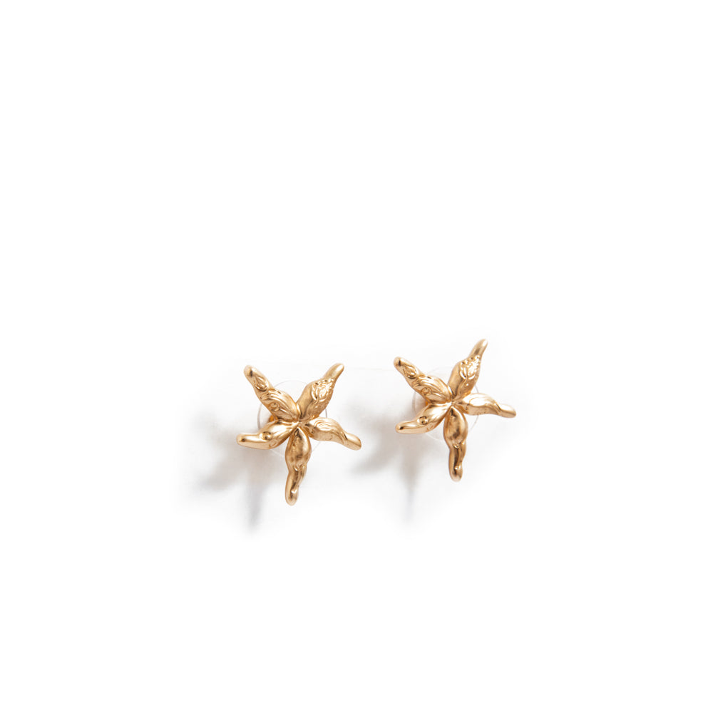 Aretes Domi Dorado