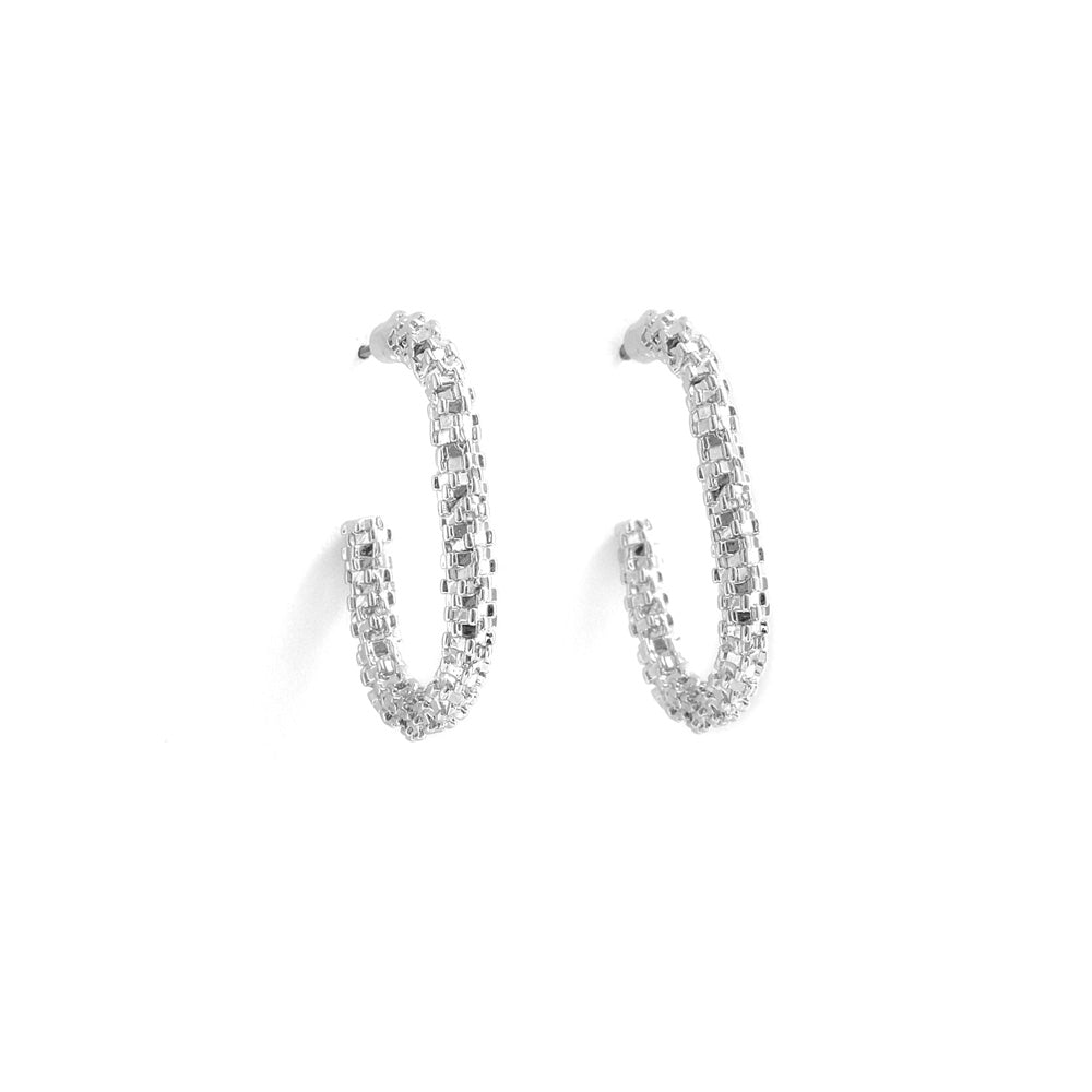 Aretes Neus Plateado