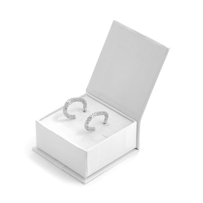 Aretes Neus Plateado